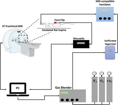 Blood-pool MRI assessment of myocardial microvascular reactivity